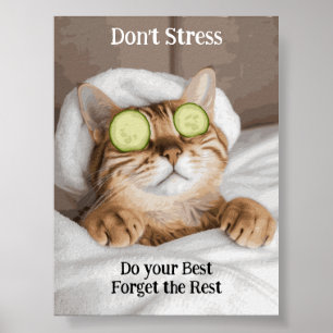 Poster de Gato Inspirador Engraçado Motivacional