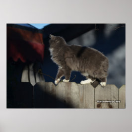Poster de gato na cerca (21)