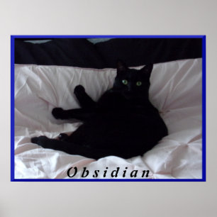 Poster de Gato Negro "Obsidiana"