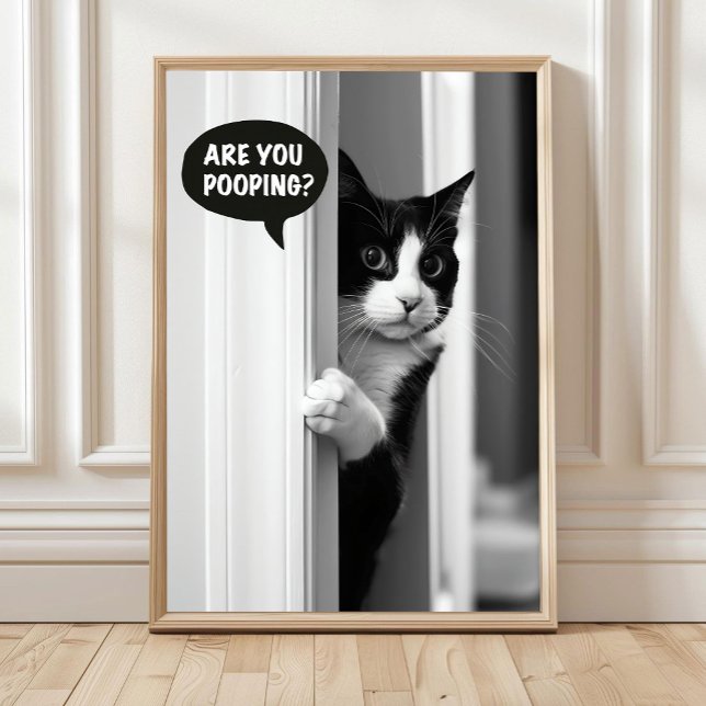 Poster de Gato no Banheiro, Você Está Defecando? P (Criador carregado)