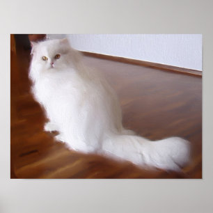 Poster de gato persa branco