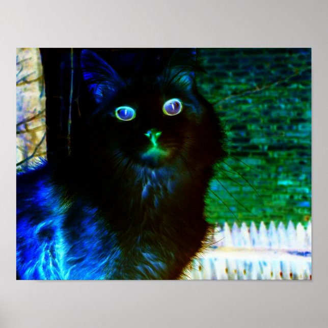 Poster de Gato Spooky (Frente)