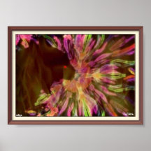 Poster de gatos triquinhos pretos