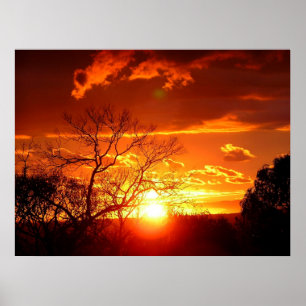 Poster de Glória Sunset