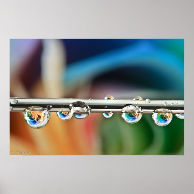 Poster de Gotas de Prata (Frente)