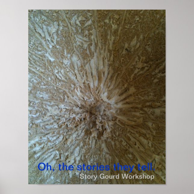 Poster de gourd da história - Dentro (Frente)