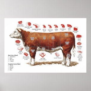 Poster de Gráfico de Corte de Carne