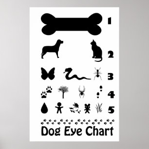 Poster de Gráfico de Olhos de Cachorro