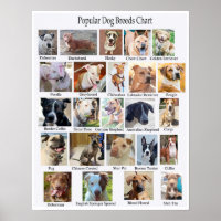Poster de Gráfico de Rupturas de Cachorros