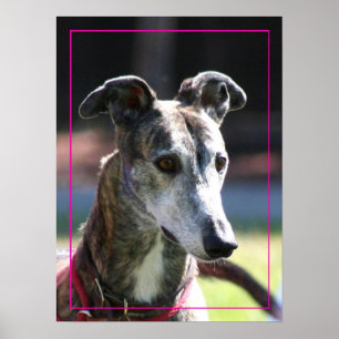 Poster de Greyhound
