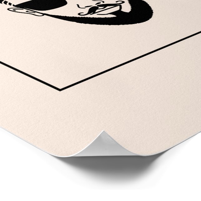 poster de guia de estilo da barba (Borda)