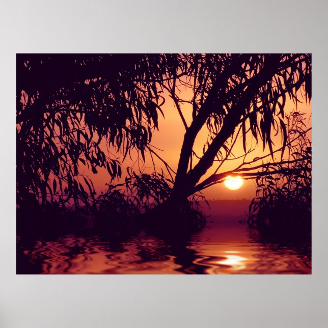 Poster de Habitat Silhouette Sunset (Frente)