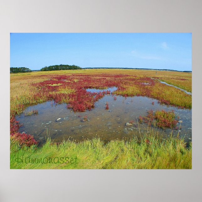 Poster de Hammonasset (Frente)