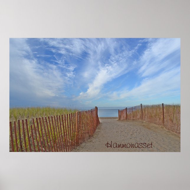 Poster de Hammonasset (Frente)