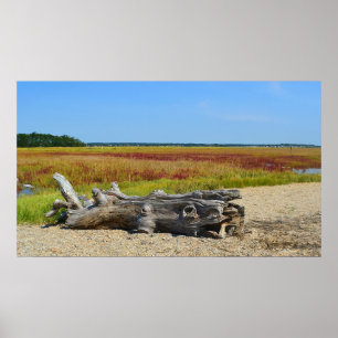 Poster de Hammonasset Driftwood