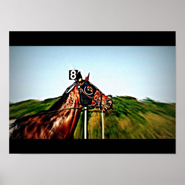 Poster de Harness Racing (Frente)