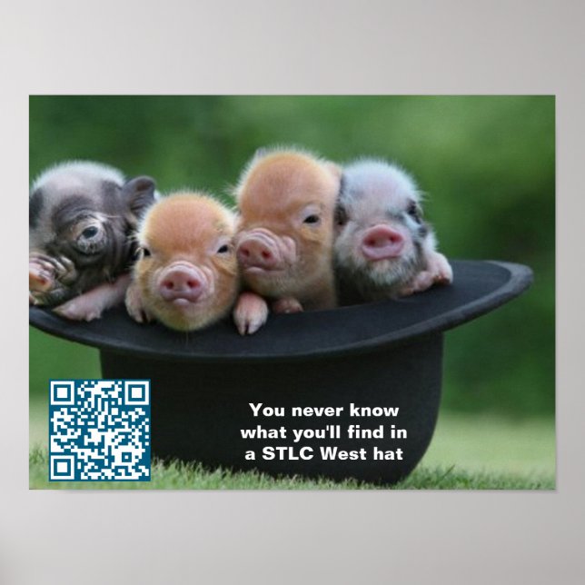 POSTER de Hat Oeste do STLC (Frente)