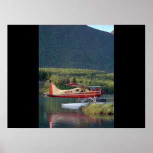 Póster De Havilland, castor, aviação 1951_Classic