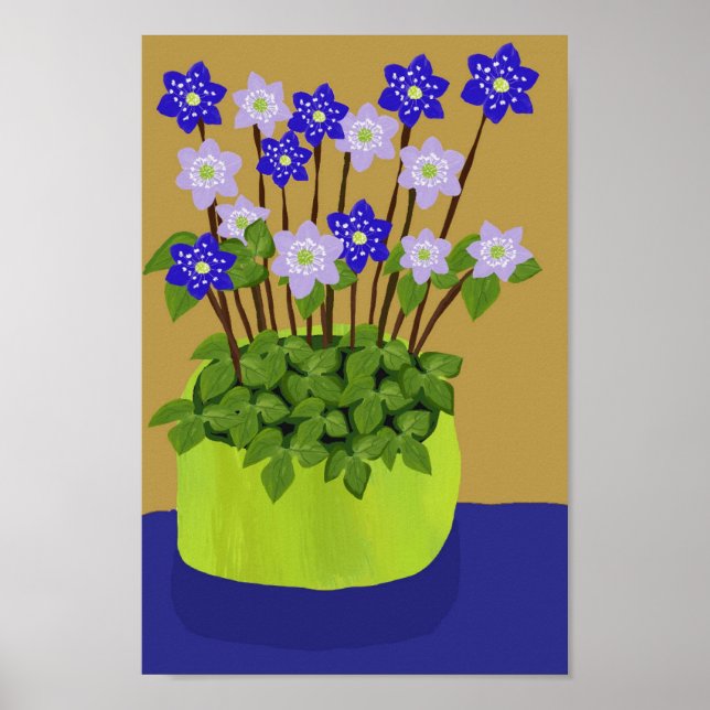 Poster de Hepatica (Frente)