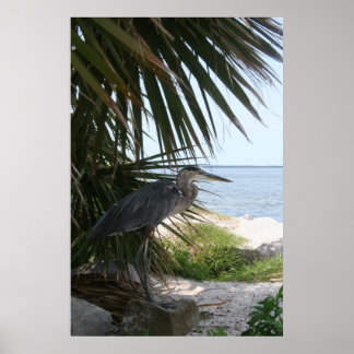 Poster de Herão Azul