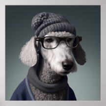Poster de Hipster Terrier Bedlington
