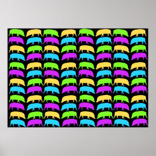 Poster de Hogs multicoloridos