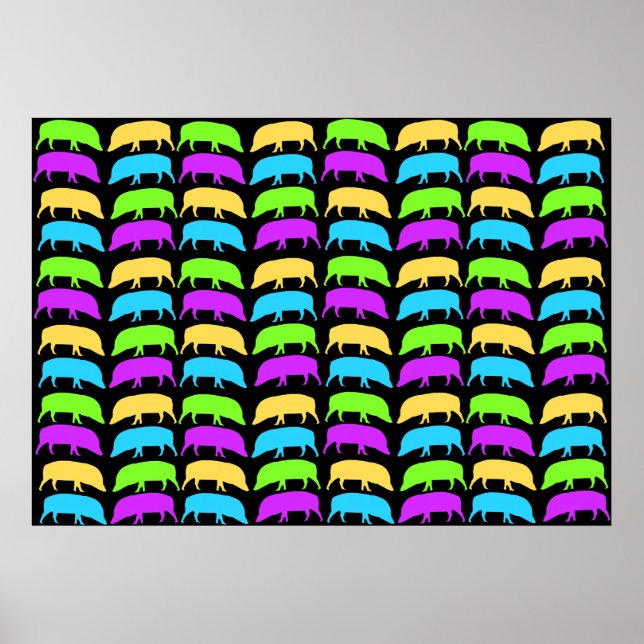 Poster de Hogs multicoloridos (Frente)