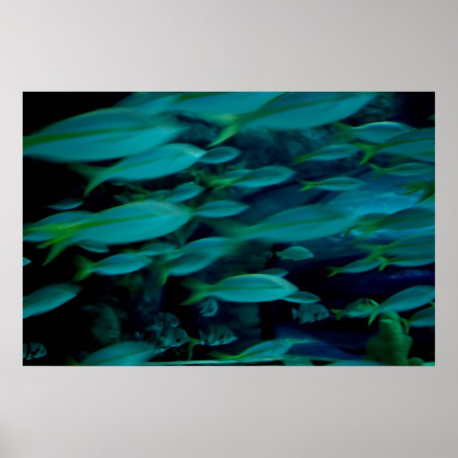 poster de "Hora de Corrida" (Frente)