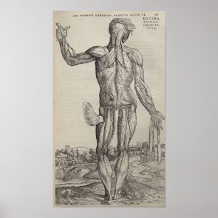 Póster De Humani Corporis