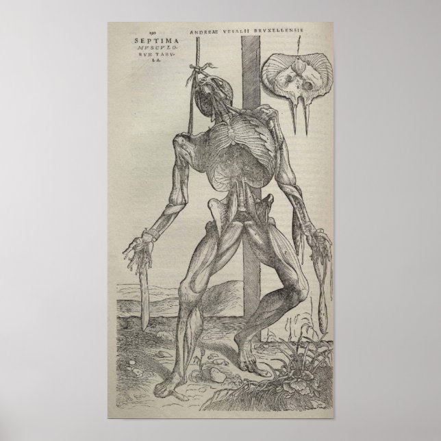 Póster De Humani Corporis (Frente)