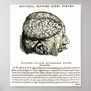 Póster De Humani Corporis