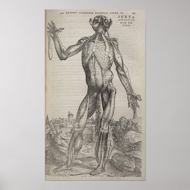 Póster De Humani Corporis (Frente)