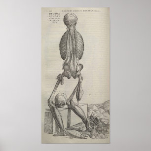 Póster De Humani Corporis