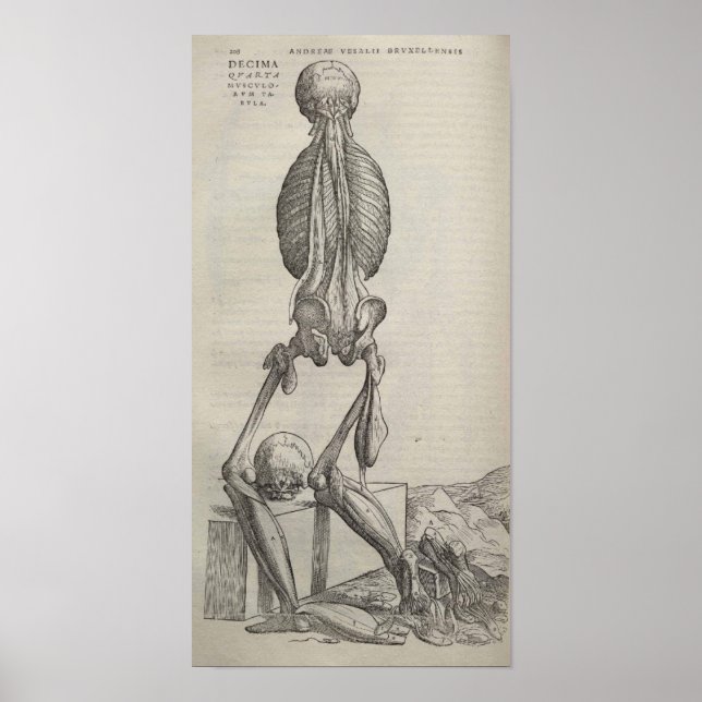 Póster De Humani Corporis (Frente)