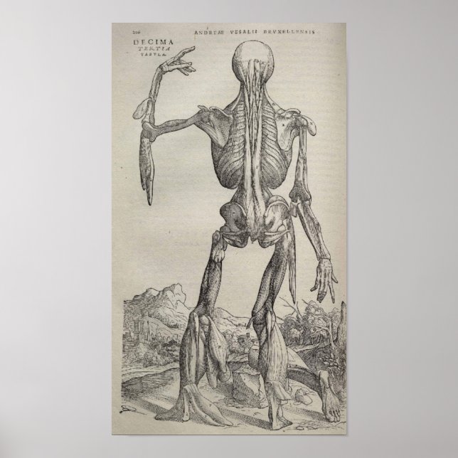 Póster De Humani Corporis (Frente)