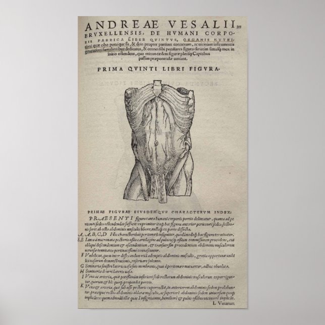 Póster De Humani Corporis (Frente)