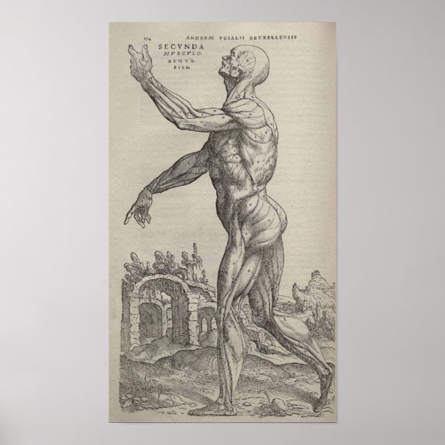 Póster De Humani Corporis (Frente)