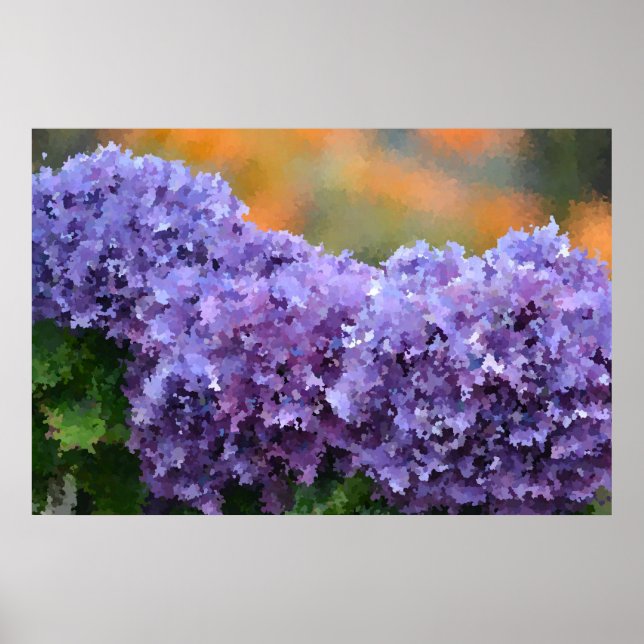 Poster de Hydrangea impressionista (Frente)