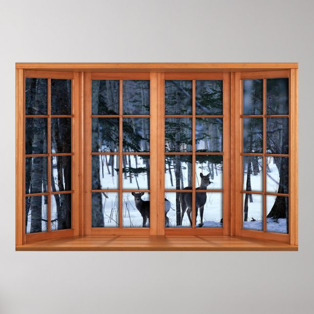 Poster de Illusão de Janela Falsa de Neve (Frente)