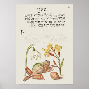 Poster de Ilustração Botânica Vintage