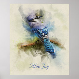 Poster de ilustração da aquarela azul-jay
