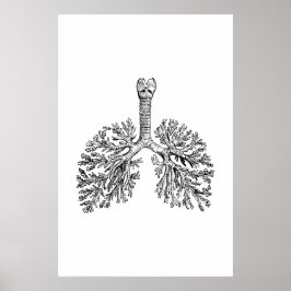 Poster de Ilustração de Anatomia dos Pulmões