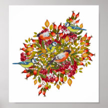 Poster de Ilustração de Plantas Botânicas e Aves