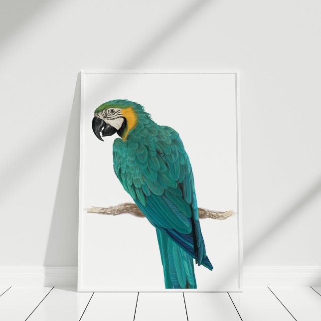 Poster de Ilustração Desenhada à Mão Azul Tropical (Tropical Blue Macaw Hand Drawn Illustration Poster in white frame on white wooden floor.)