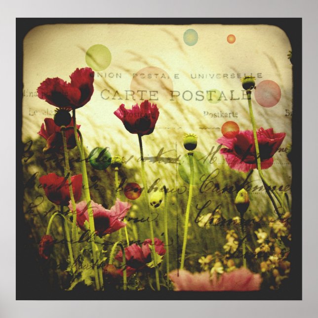 Poster de impressão (Frente)