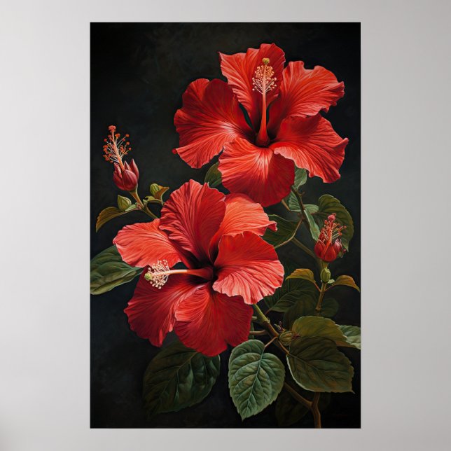 Pôster de Impressão de Arte de Flor de Hibisco Ver (Frente)