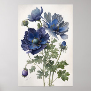 Pôster de Impressão de Arte de Flores de Anêmona A