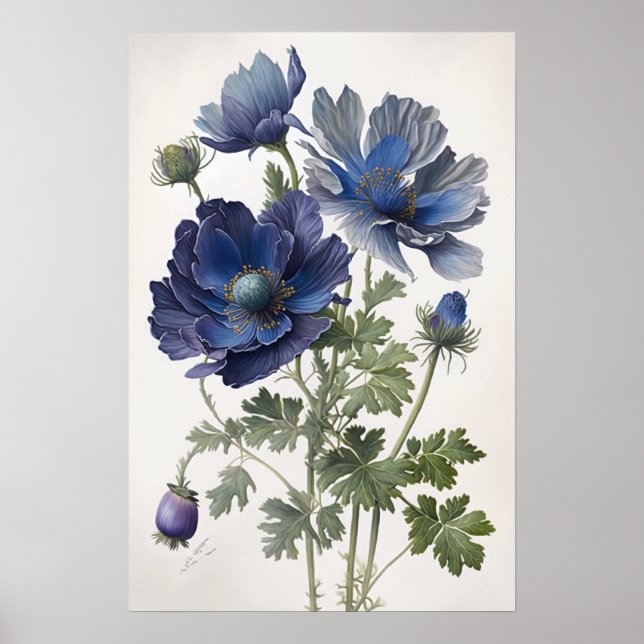 Pôster de Impressão de Arte de Flores de Anêmona A (Frente)