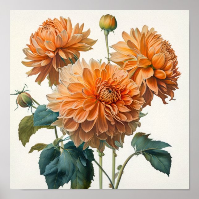 Pôster de Impressão de Arte de Flores de Dahlia La (Frente)
