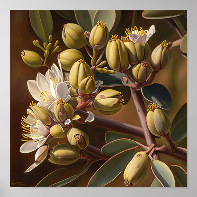 Pôster de Impressão de Arte de Flores de Jojoba Br (Frente)